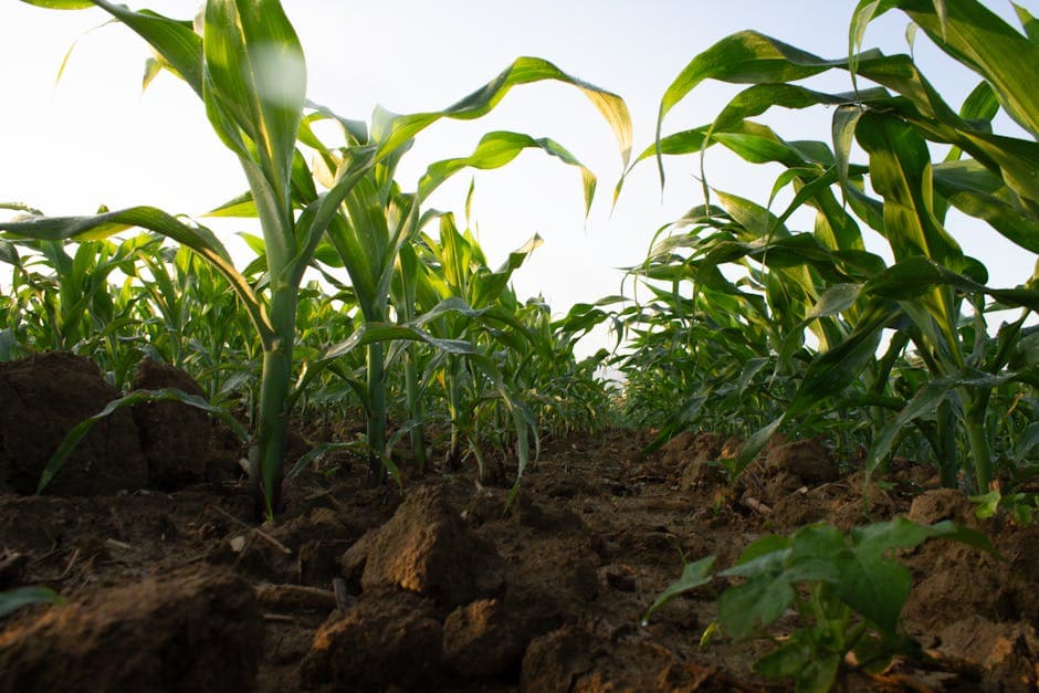 Соблюдение изменений климата