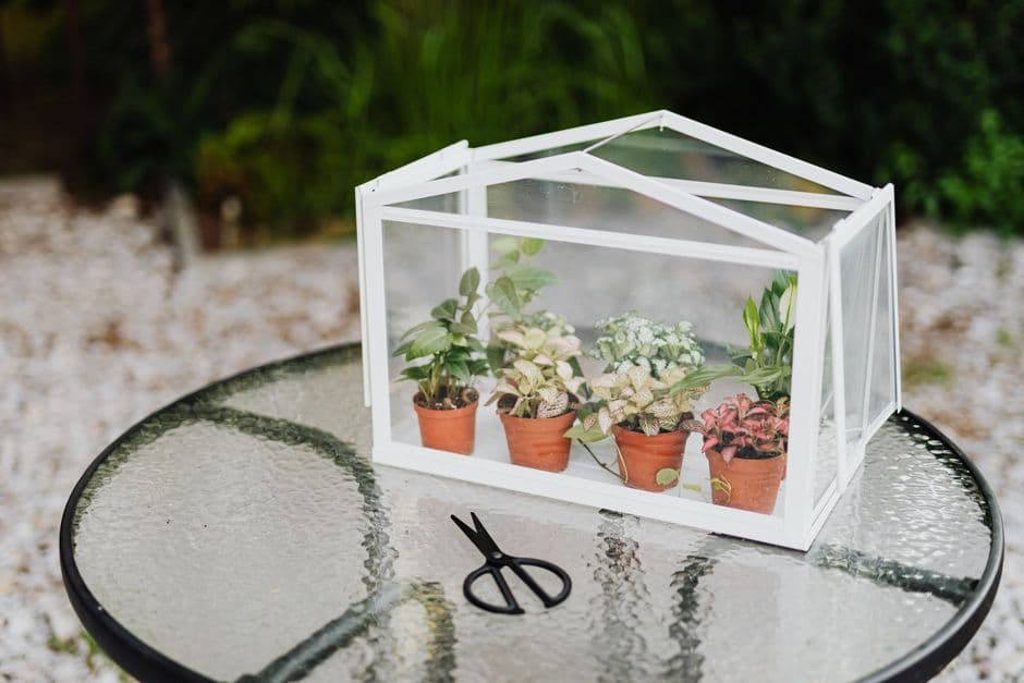 Как сделать мини-теплицу на балконе