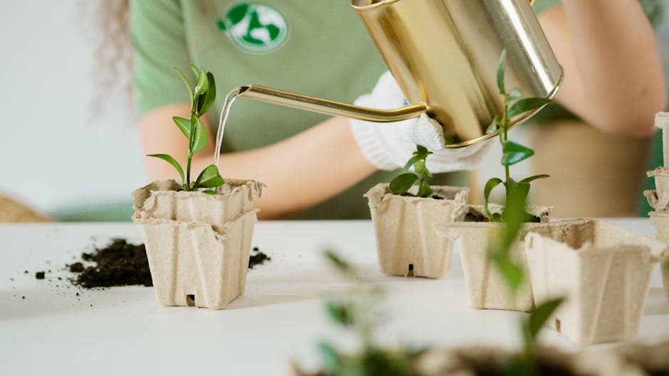 Подкормка и уход
