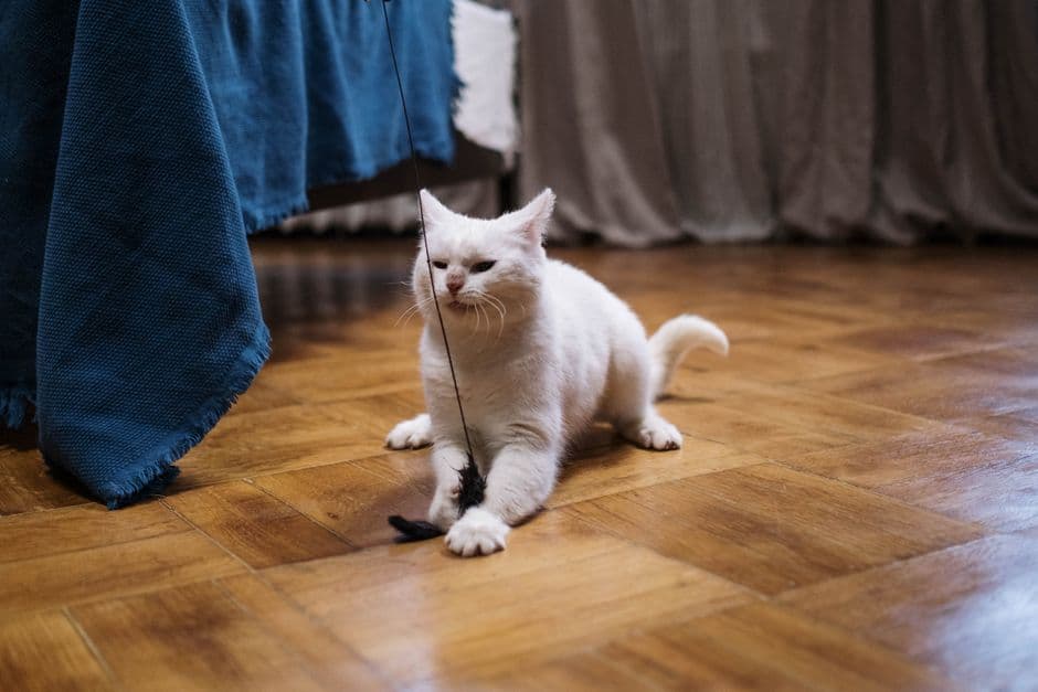 Организация активных игровых занятий