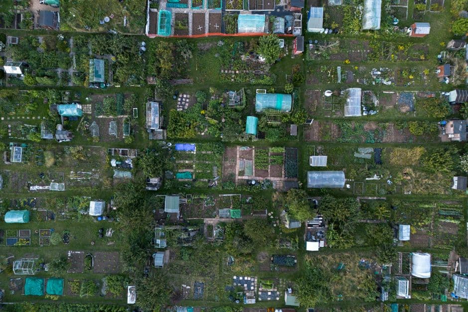 Как оптимально использовать пространство в огороде