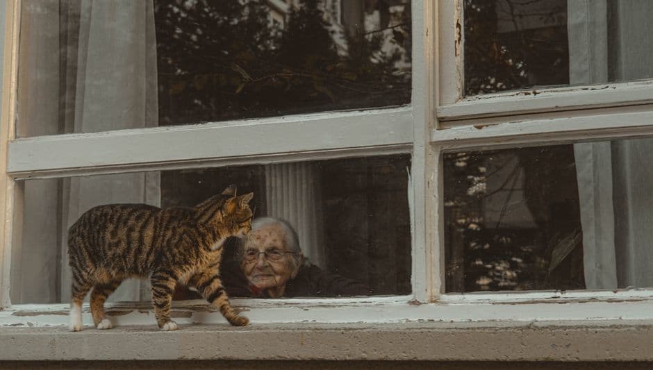 Регулярно проверяйте ситуацию