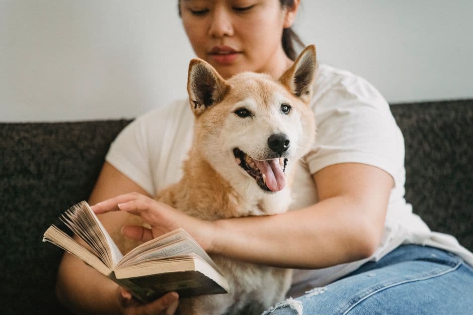 Ищите отзывы о книгах online