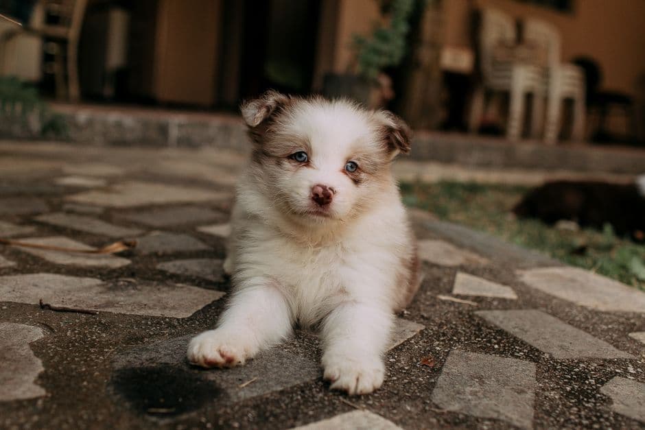 Подумайте о своих приоритетах