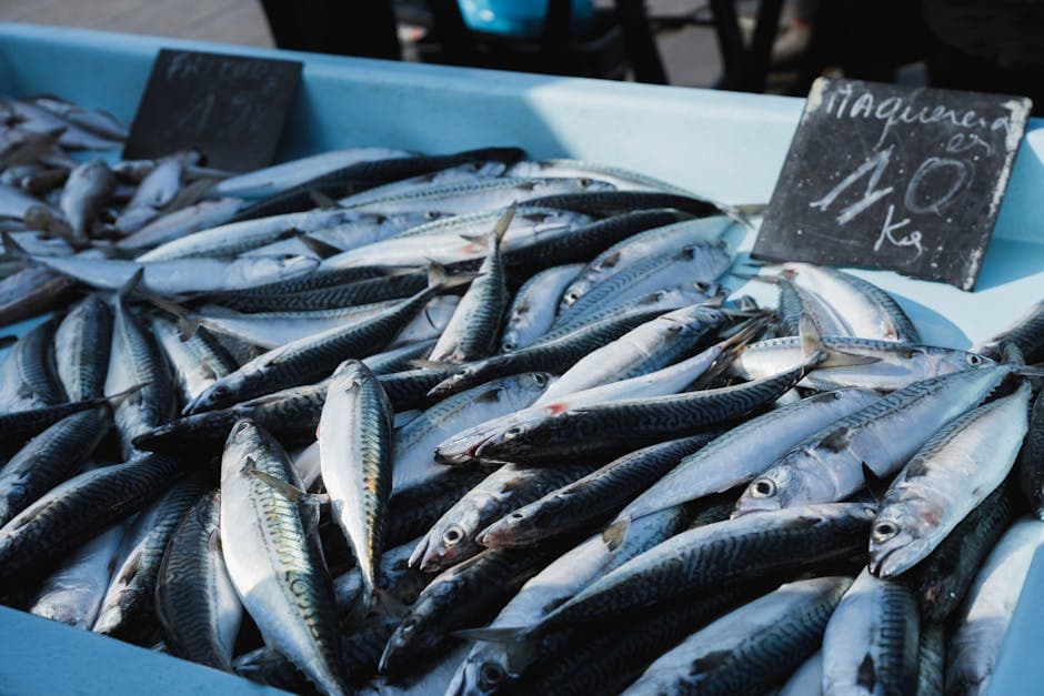 Соберите ингредиенты