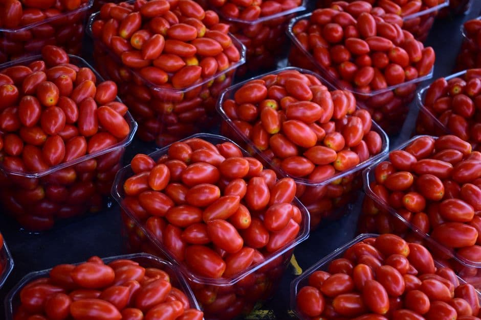Consider Disease Resistance