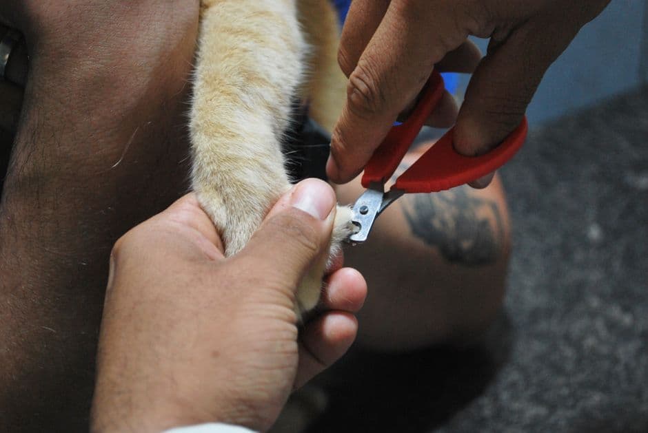 Enlist a Helper if Needed