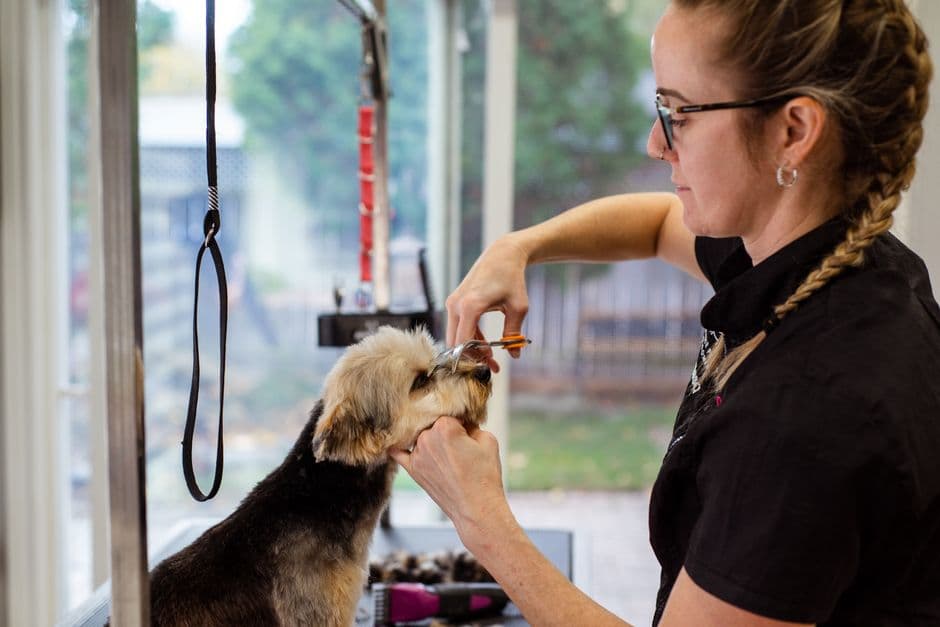Schedule Regular Trims
