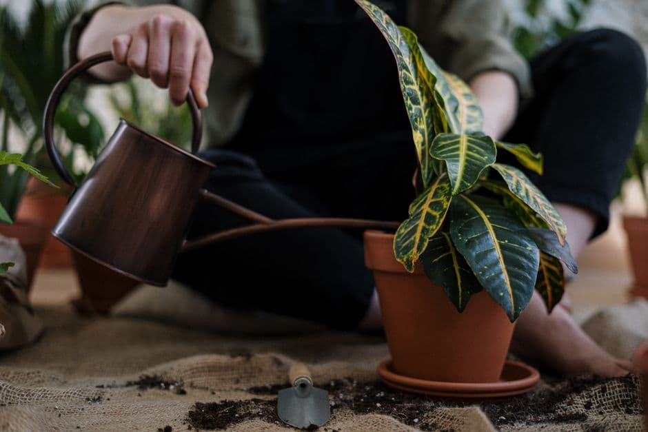 Insert in Soil