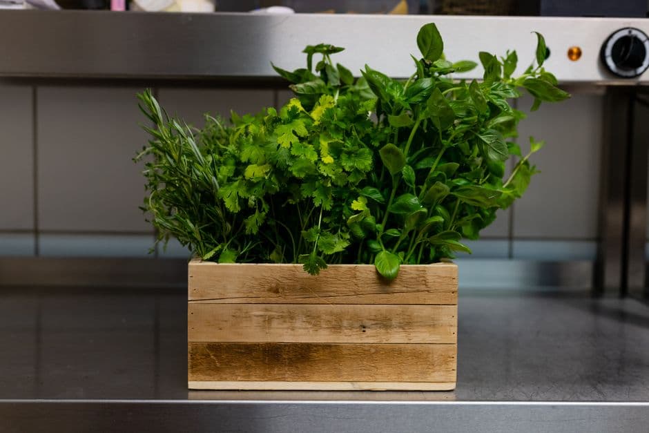 Select Herbs for Drying