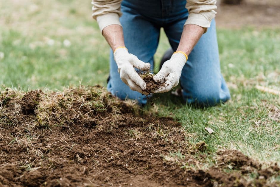 How to Prepare Your Garden for Winter