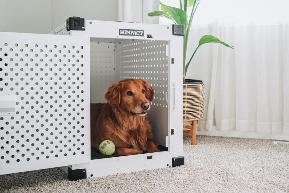 Practice Crate Training